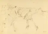 Mircea Muntenescu, Câine, 1991, creion pe hârtie