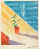 David Hockney, Sun State I, cromolitografie