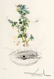 Reverence du grosseillier by Salvador Dalí, cromolitografie, sold Jan 2026