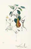 Poire Don Quichotte by Salvador Dalí, cromolitografie, sold Jan 2026