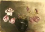 Mihai Cismaru, Magnolii