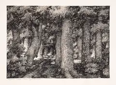 Nikola Pindikov, Forest road to Chumerna, 1930's, туш върху хартия