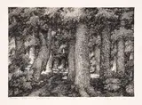 Nikola Pindikov, Forest road to Chumerna, 1930's, туш върху хартия