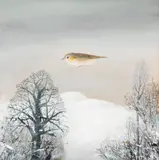 Ștefan Câlția, Ziua de Crăciun (Pasăre iarna)