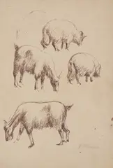 Juraj Plančić, 4 Goats, 1925., ink wash on paper