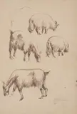 Juraj Plančić, 4 Goats, 1925., ink wash on paper