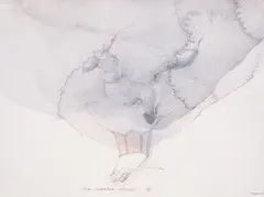 Nedko Solakov, Mr. Curator, please..., 1995, graphite and watercolor on paper