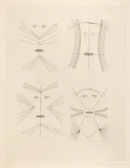 Victor Brauner, Codex d'un visage, 1962, gravură cu acul