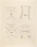Victor Brauner, Codex d'un visage, 1962, gravură cu acul