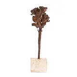 Asen Peikov, Rose, 1973, bronze