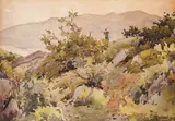Stefan Sharich, Forest landscape, 1917, watercolour on paper