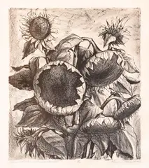 Evtim Tomov, Sunflowers, 1967, lithography