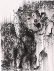 Mircea Suciu, Mother Nature, 2012, cărbune pe hârtie