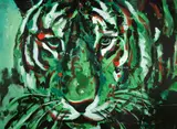 Florin Petrachi, Tiger, acrilic pe carton