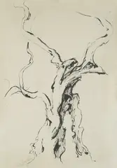 Cata Dujšin-Ribar, Olive, ink on paper