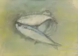 Josip Vaništa, Fish, 2001., pastel on paper