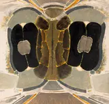 Grădină suspendată by Ion Alin Gheorghiu, 1975, ulei pe hârtie lipită pe pfl, offered Sep 2025