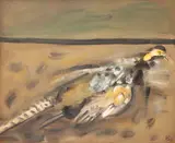 Sorin Ilfoveanu, Fazan