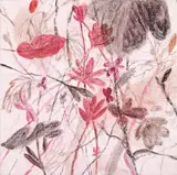 Adriana Blendea, Câmp de flori, 2014, ulei pe pânză