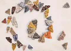 Diana Oțet, The Last Day of Summer (II), acuarelă și creioane colorate pe hârtie lipită pe lemn