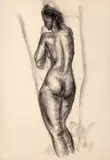 Mac (Mihail Filip) Constantinescu, Nud cu spatele, cărbune pe hârtie