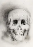 Mircea Suciu, Vanitas