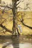 Marius Bercea, Outdoor Vulnerability