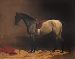 Emil Volkers, Pur-sânge, 1890, ulei pe pânză