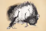 Georgi Chapkanov, The mirror, 2000, lithography