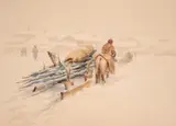 Pavel Frantsaliyski, Preparing for winter, 1950s, watercolor on paper