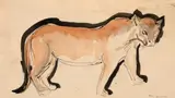 Mac (Mihail Filip) Constantinescu, Panteră, 1932, creion și acuarelă  pe hârtie