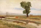 Adina Paula Moscu, Dimineață în Bărăgan, ulei pe carton