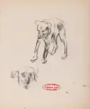 Corneliu Baba, Cel mai bun prieten, cărbune pe hârtie