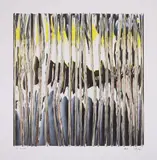 Dana Maitec & Stéphane Maitec, Mirror Reflections #97, 2018, digigrafie