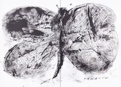 Fluture by Dan Bota, cerneală Duco pe hârtie, offered May 2025