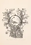 Ștefan Câlția, Păunul, 2019, serigrafie