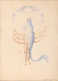 Jules Perahim, Scorpion