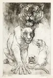 Marcel Chirnoagă, Feline, acvaforte