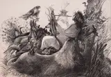 Georgi Chapkanov, Orpheus, after 1994, pencil on paper