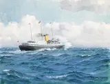 Dimitrie Știubei, Vapor de croazieră