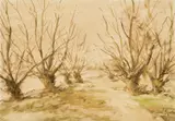 Ferdo Kovačević, Vrbik, 1915.-1920., watercolor on paper