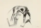 Îmblânzitorul de cai by Ion Iancuț, 1984, peniță pe hârtie, sold Feb 2025