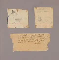 Burebista (După Strabon) by Vasile Gorduz, creion pe hârtie, offered Feb 2025