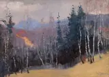Vedere către Făgăraș by Constantin Isachie Popescu, ulei pe carton, sold Jan 2025