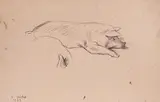 Vasil Stoilov, Pig