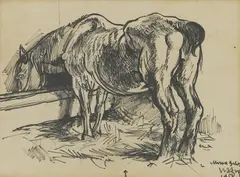 Krsto Hegedušić, Horse at Refreshment, 1950., black chalk on paper