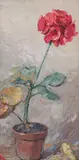 Petre Bulgăraş, Ghiveci cu mușcată, ulei pe carton