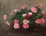 Mihai Cismaru, Trandafiri roz