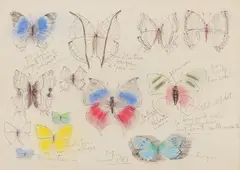Viorel Mărginean, Fluturi, 1969, pix și creioane colorate pe hârtie