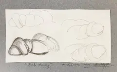 Bela Zoltan, Self Study, 2000, creion pe hârtie